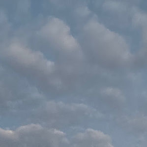 Meet your Posher, Binh